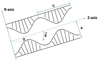 Fractional Burgers Fluid Flow Due to Metachronal Ciliary Motion in an Inclined Tube